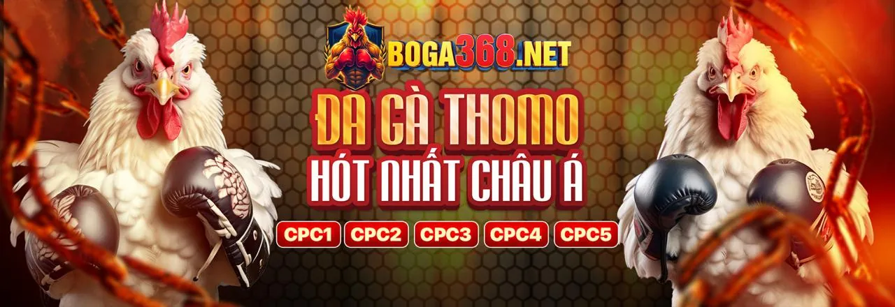 Tuân thủ GDPR và Bảo vệ dữ liệu tại KK5555